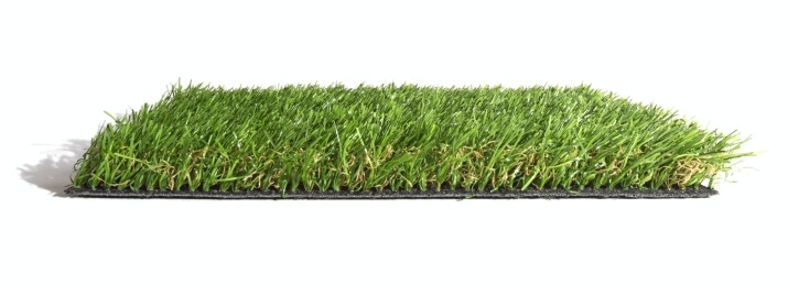 Kunstrasen-2017-Fresh-Strong-Seite